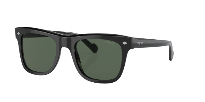 Occhiale da sole Vogue 5465 W4471