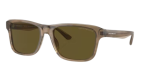 Occhiali da sole Emporio Armani 4208 6055/73