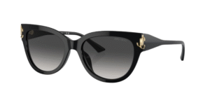 Occhiale da sole Jimmy Choo 5018U 5000/8G