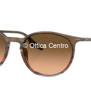 Occhiale da sole Ray-Ban 2204 13953B