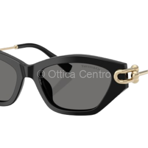 Occhiali da sole Tiffany 4231 800181
