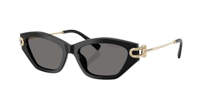 Occhiali da sole Tiffany 4231 800181