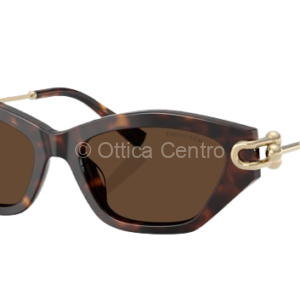 Occhiali da sole Tiffany 4231 80153G
